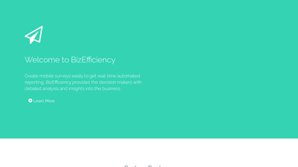 BizEfficiency image