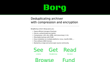 Borg Backup image