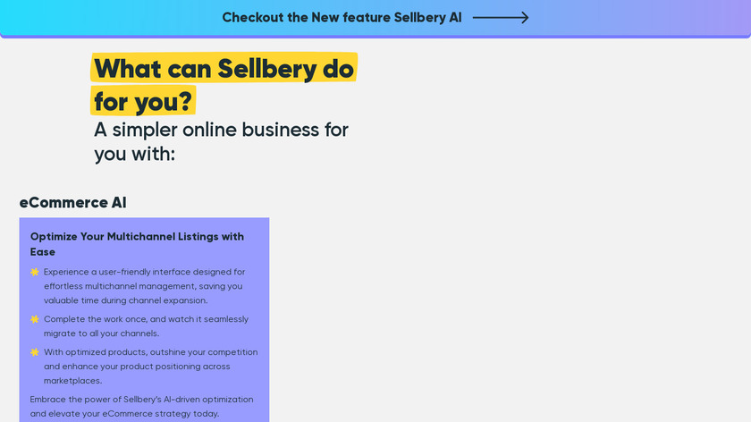 Sellbery Landing Page