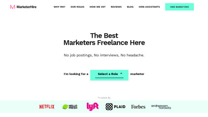 MarketerHire image