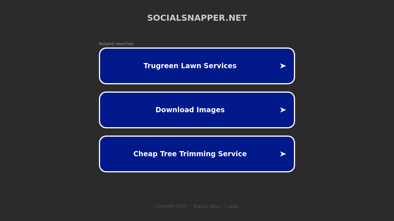 SocialSnapper Landing page
