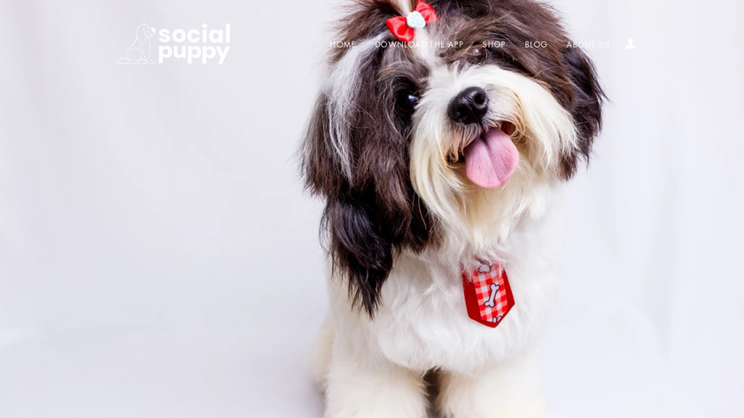 Social Puppy Landing Page