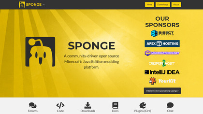 Sponge image