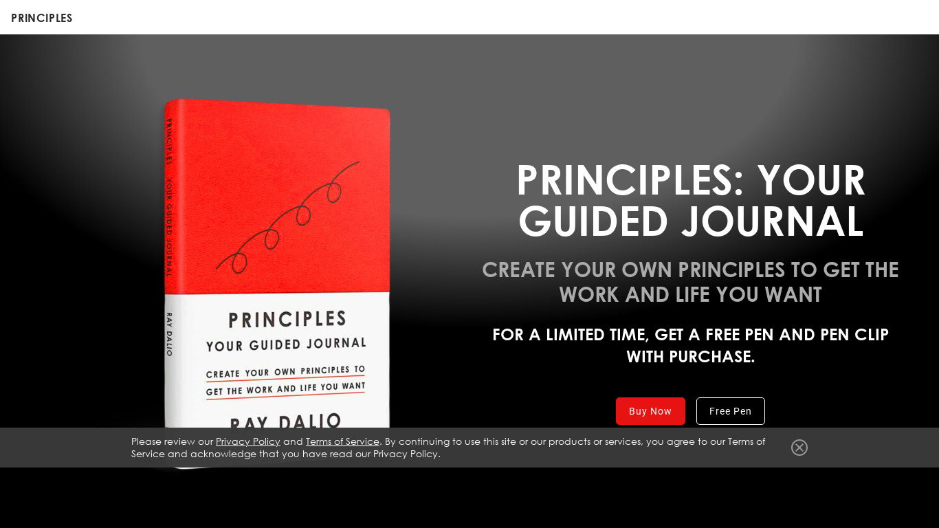 Principles in Action Landing page
