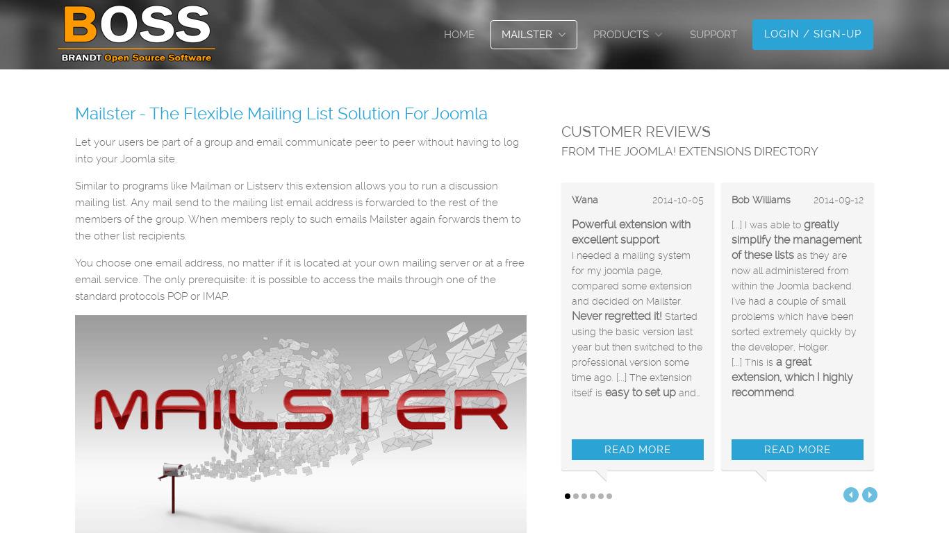 Mailster Landing page