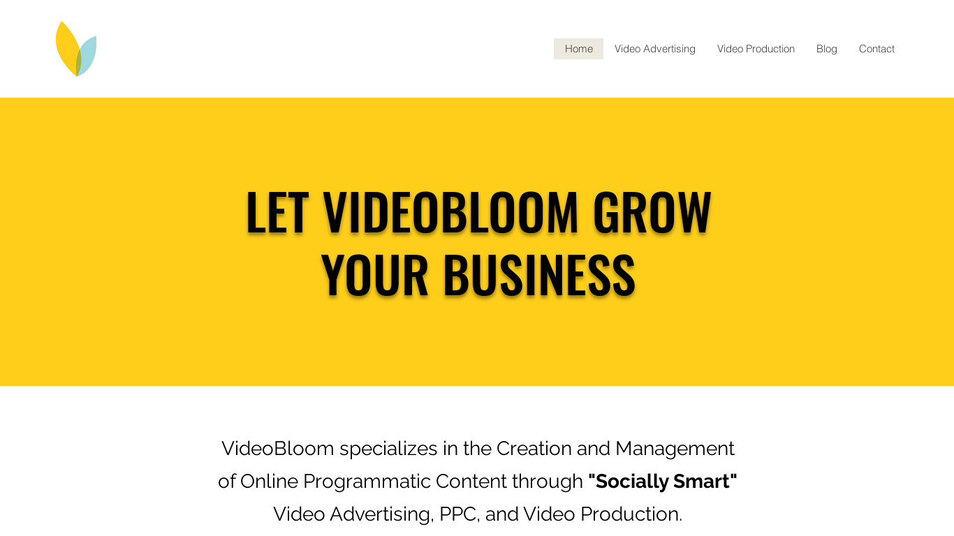 VideoBloom Landing page