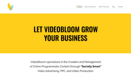 VideoBloom image
