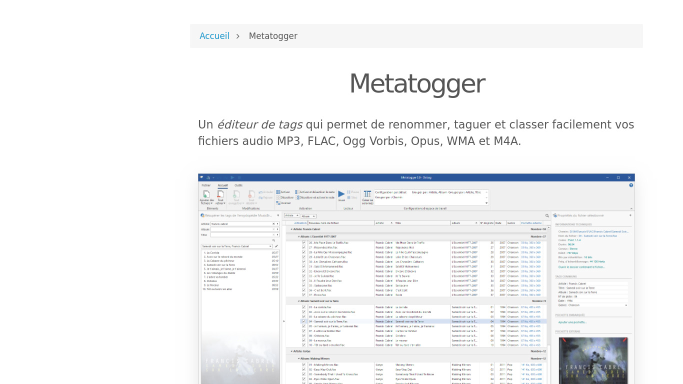 MetatOGGer Landing page