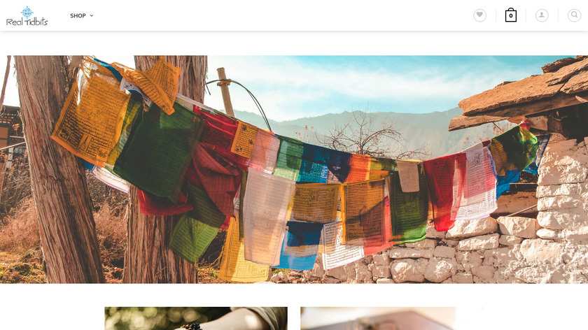 Realtidbits Landing Page