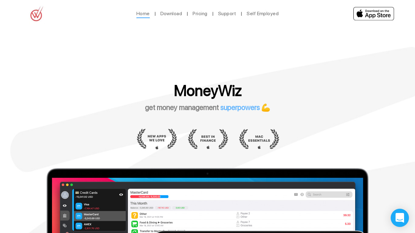 MoneyWiz Landing page