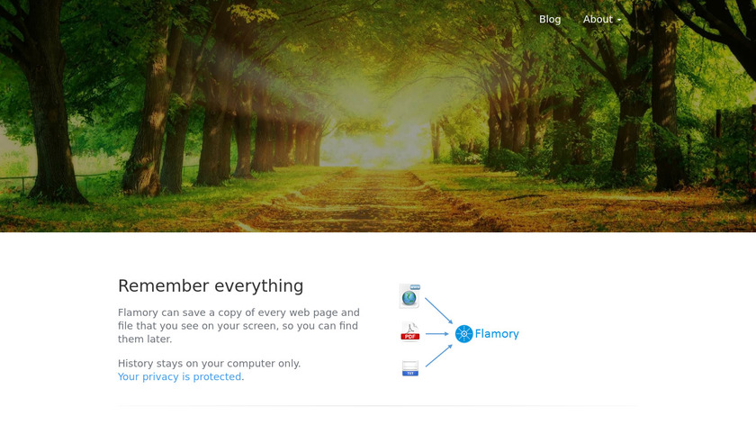 Flamory Landing Page