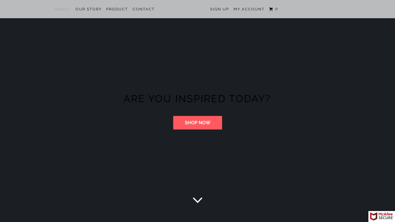 Custom Design Your Day Planner Landing page