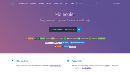 Moleculer screenshot