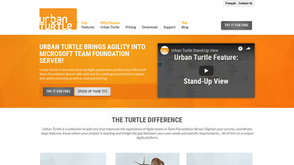 Urban Turtle image