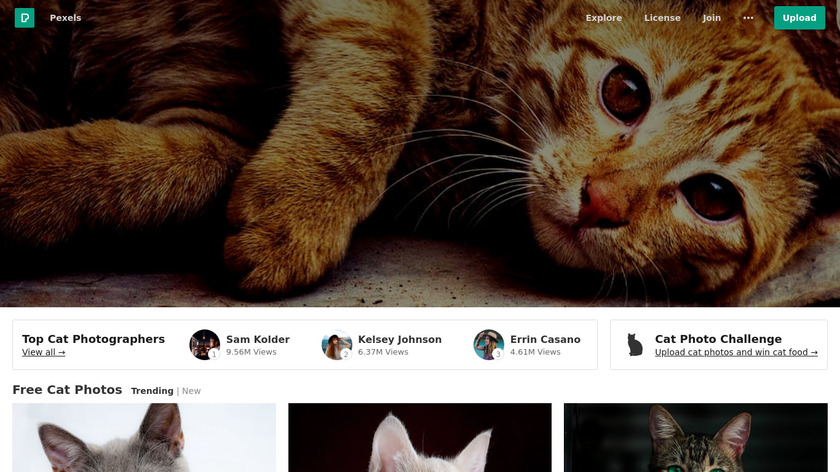 Pexels Cats Landing Page