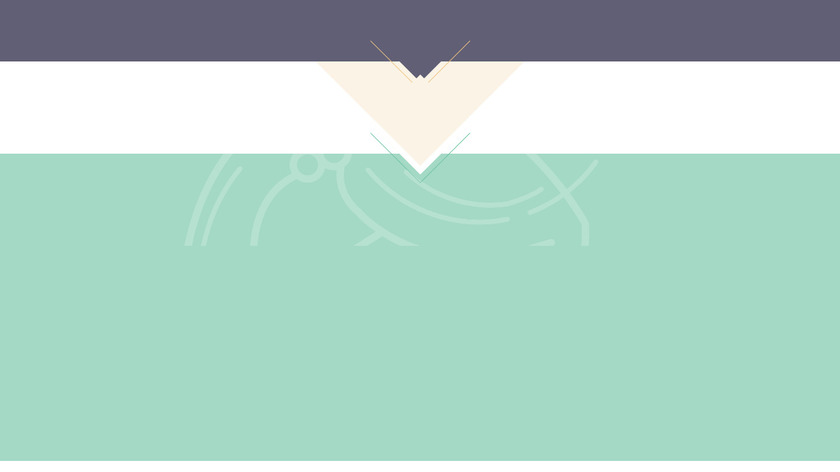 The Tiny Designer Landing Page