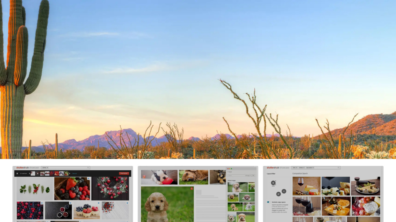 Shutterstock Palette Landing page