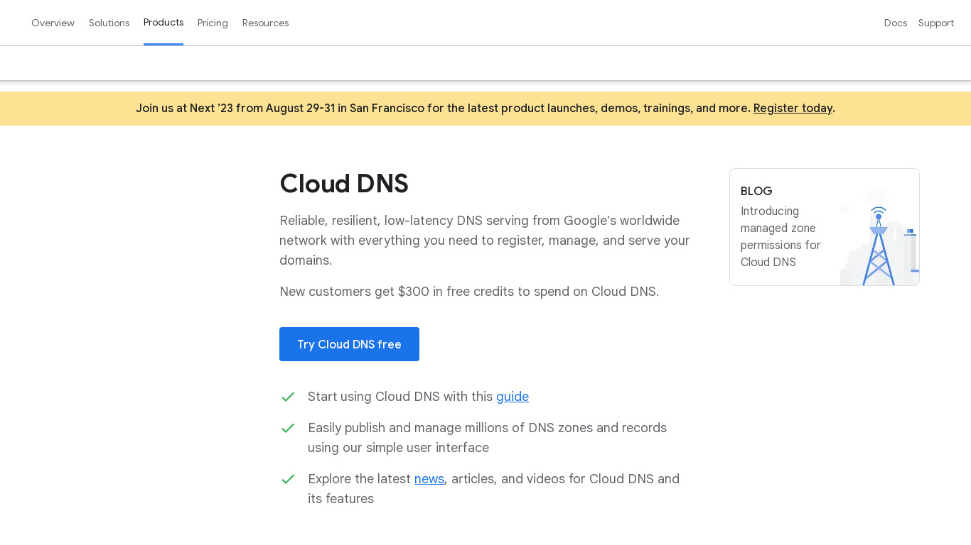 Google Cloud DNS Landing page