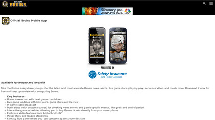 Boston Bruins image