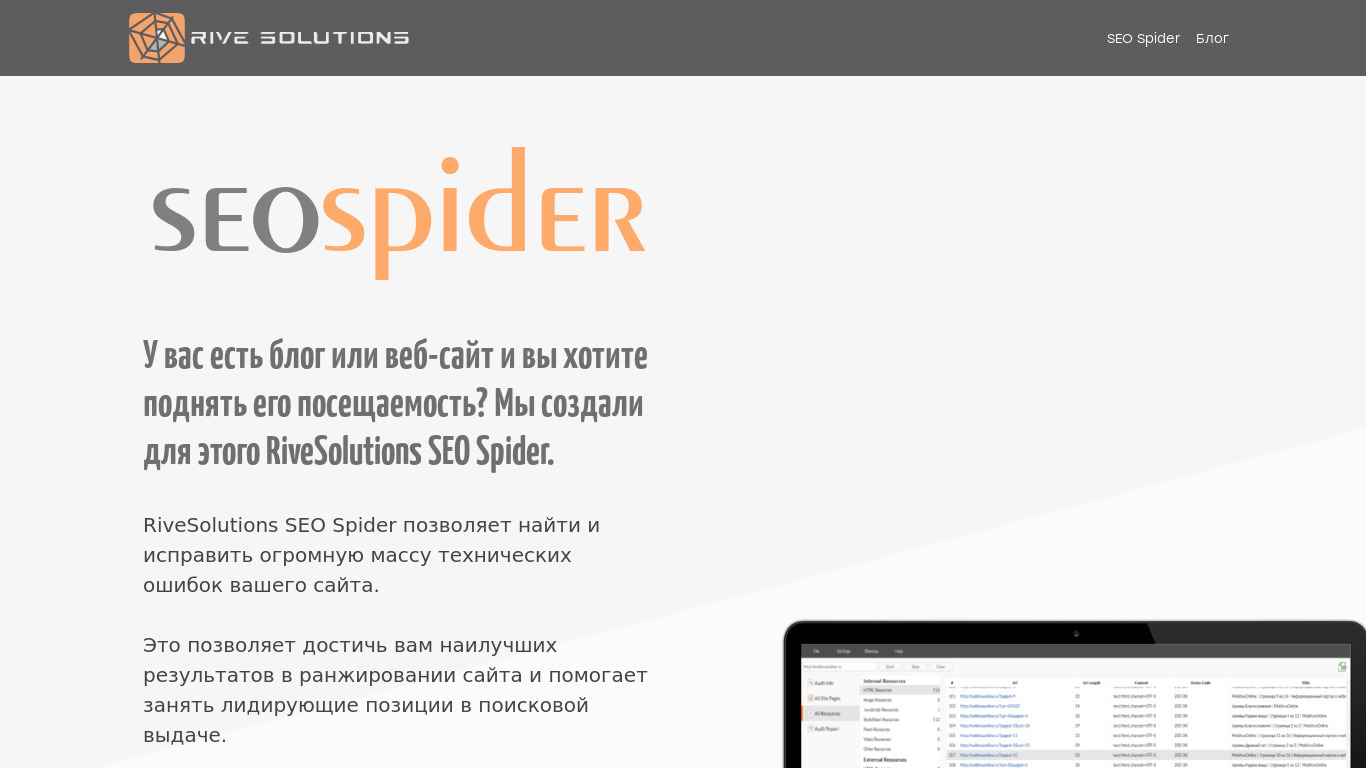 RiveSolutions SEO Spider Landing page