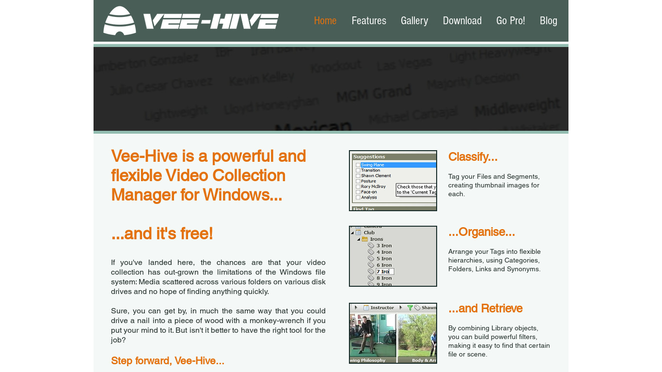 Vee-Hive Landing page