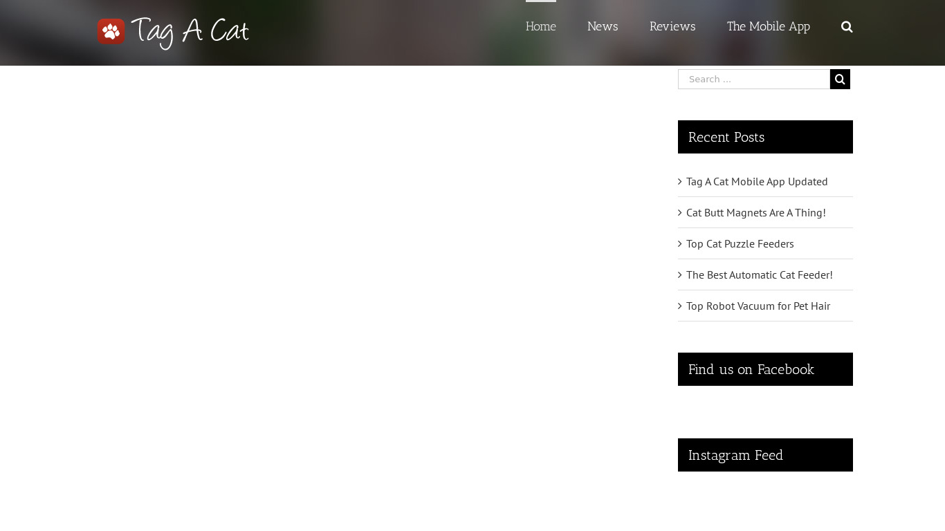 Tag a Cat Landing page