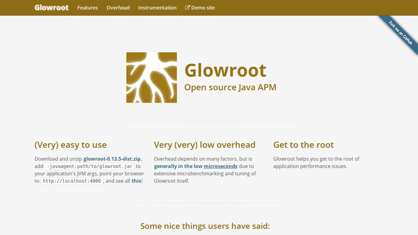 Glowroot Landing Page