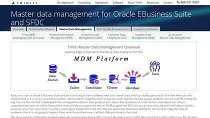 Triniti Master Data Management image