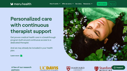 Meru Health image