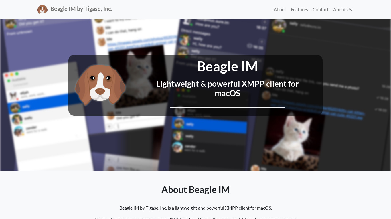 Beagle IM Landing page