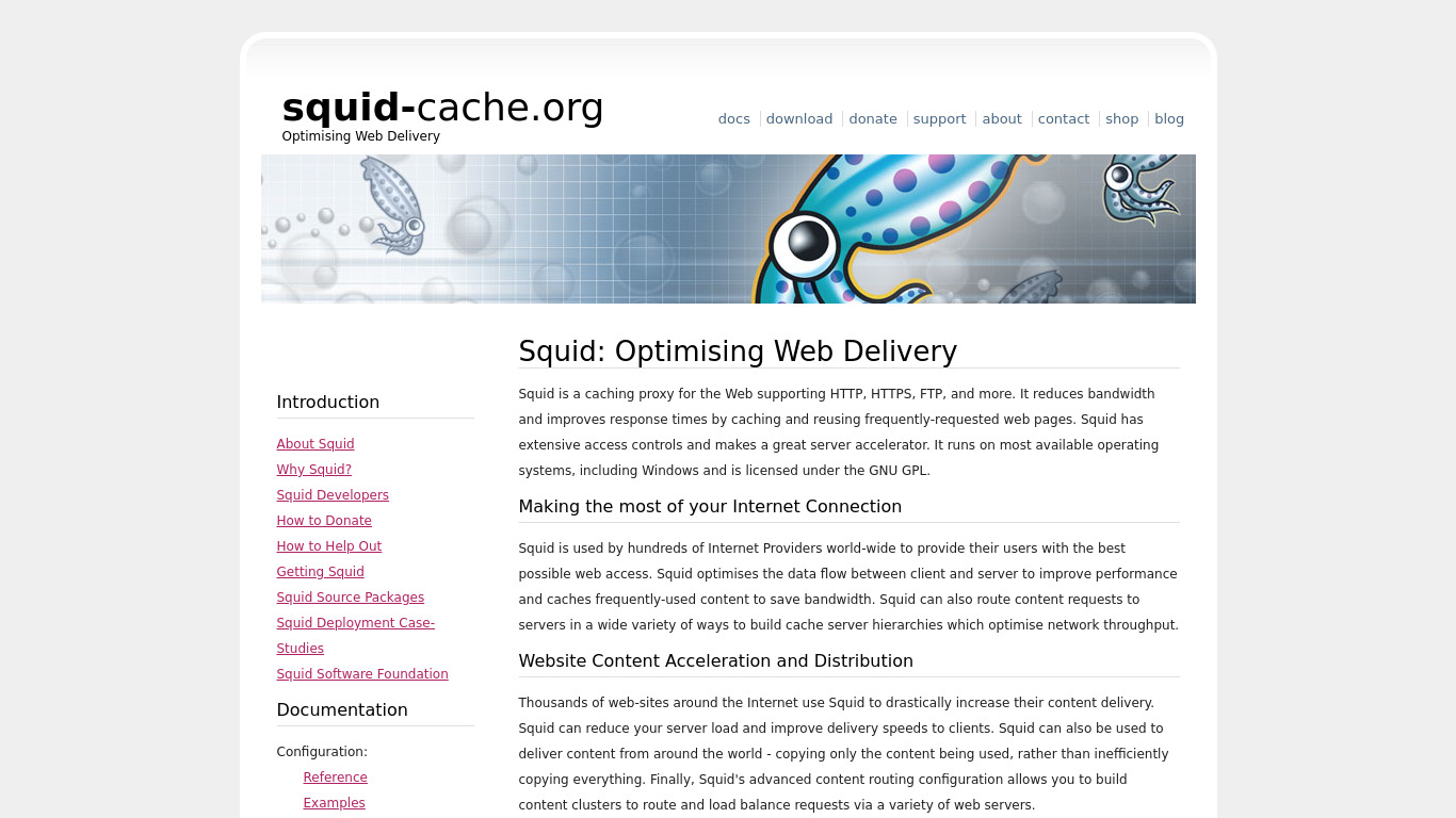 Squid Proxy Landing page