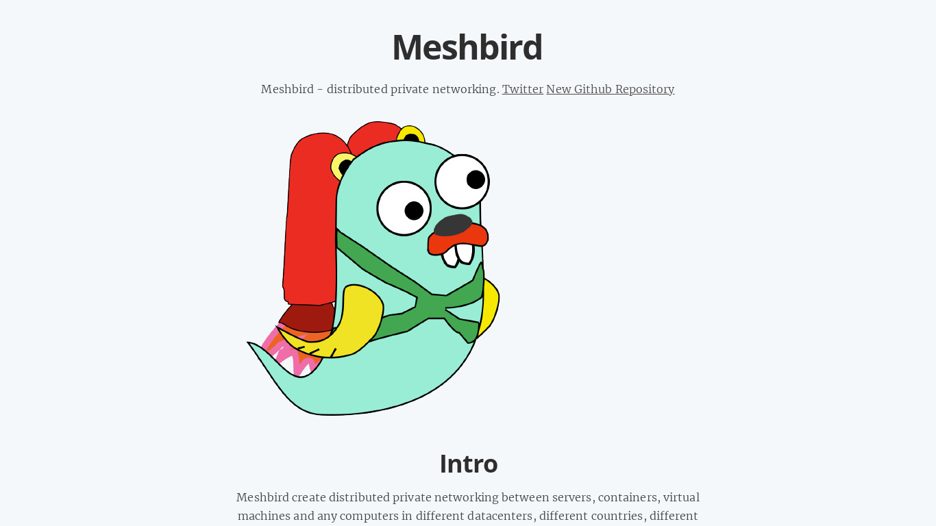 MeshBird Landing page