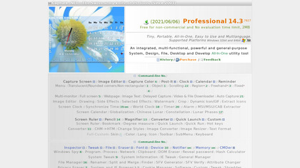 Capture .NET image