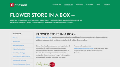 Flower Store In a Box image