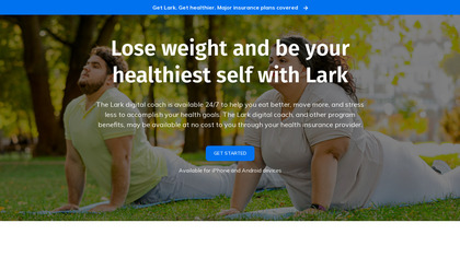 Lark image