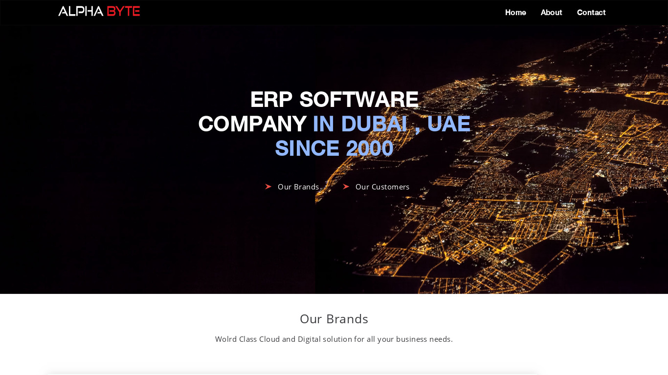 AlphaMax ERP Landing page