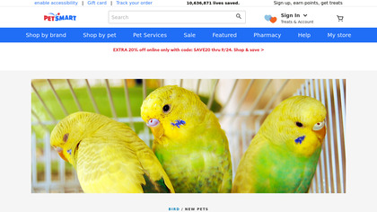 Parakeet image