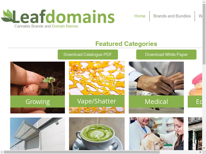 leafdomains.com Leafdoc Landing page