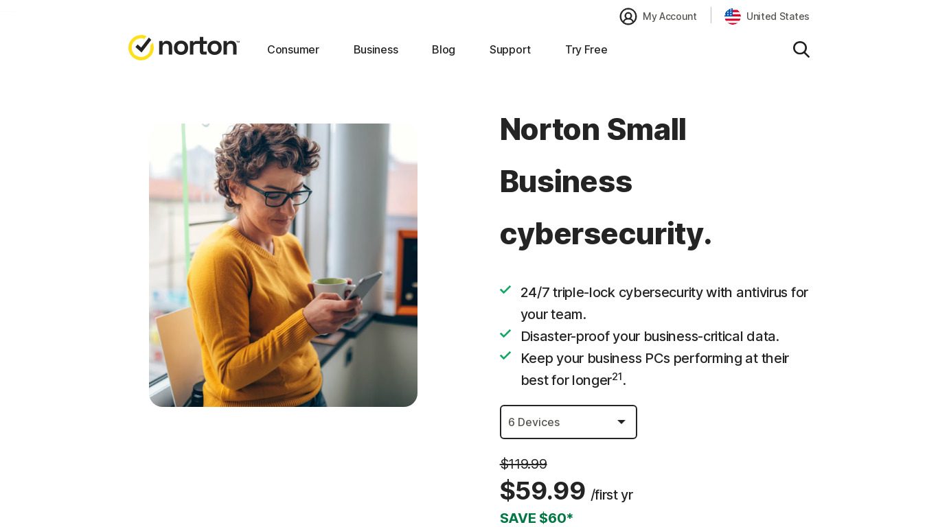 Norton Small Business Landing page