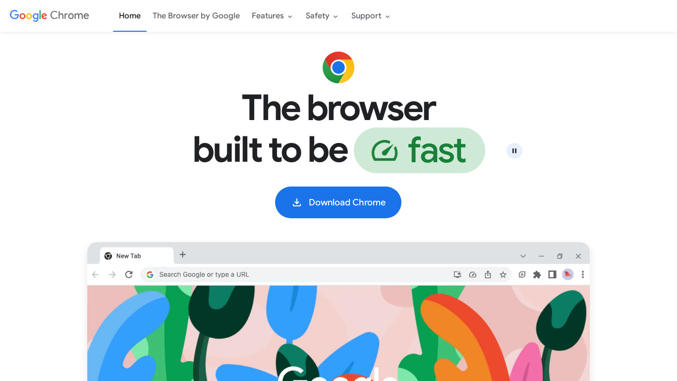 Google Chrome Landing page