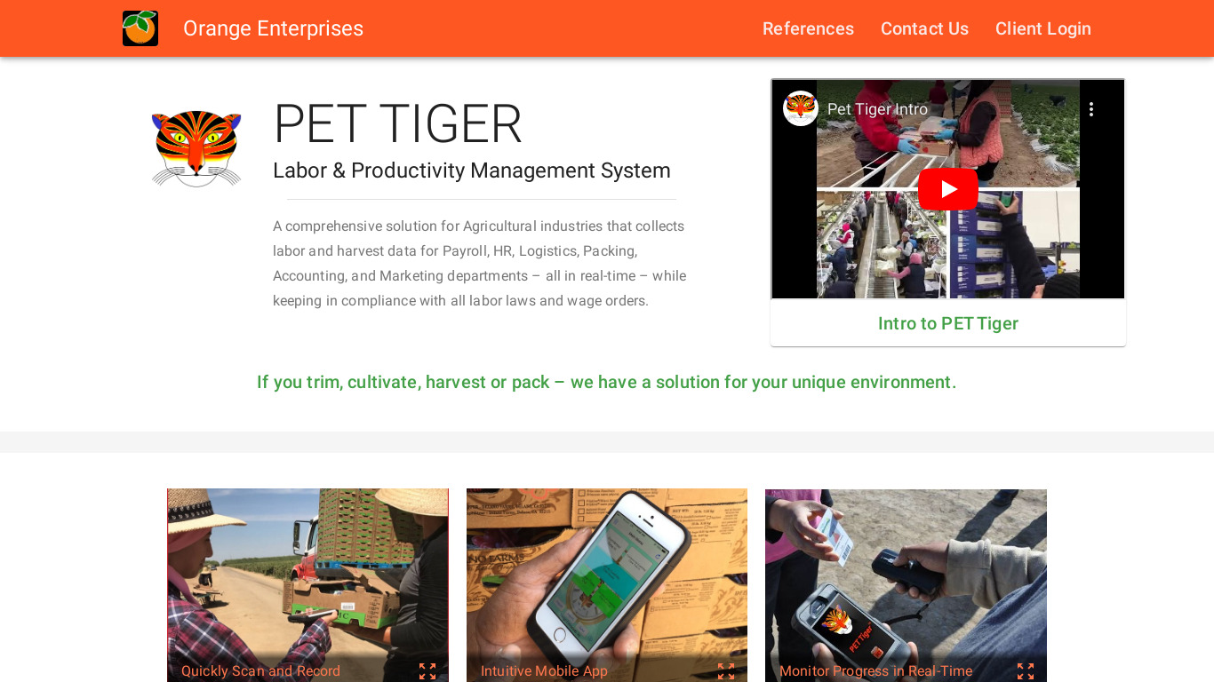 Pet Tiger Landing page