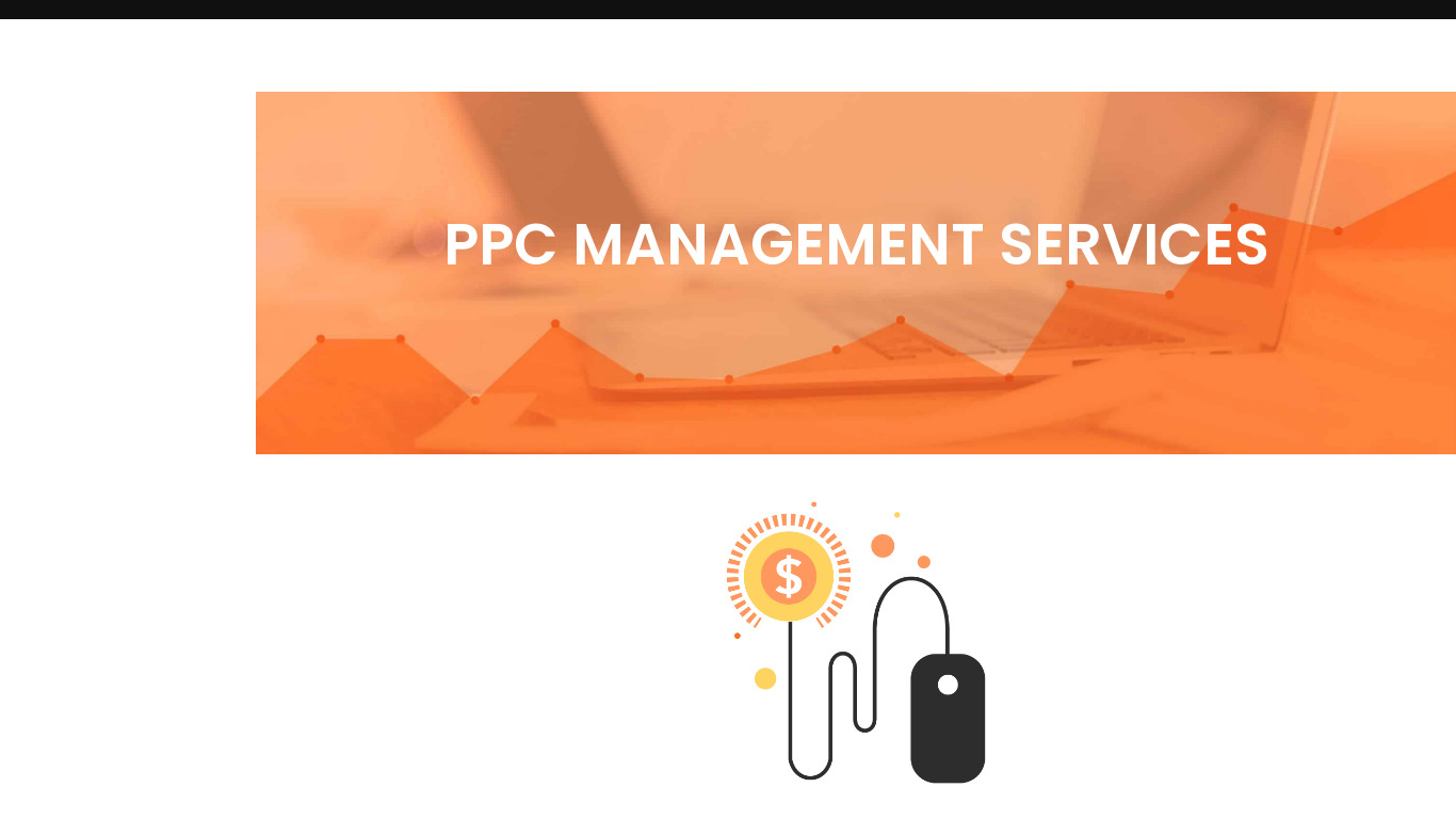 PPC Management Landing page