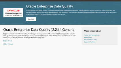 Oracle Data Quality image