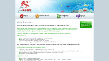 VideoLobster image