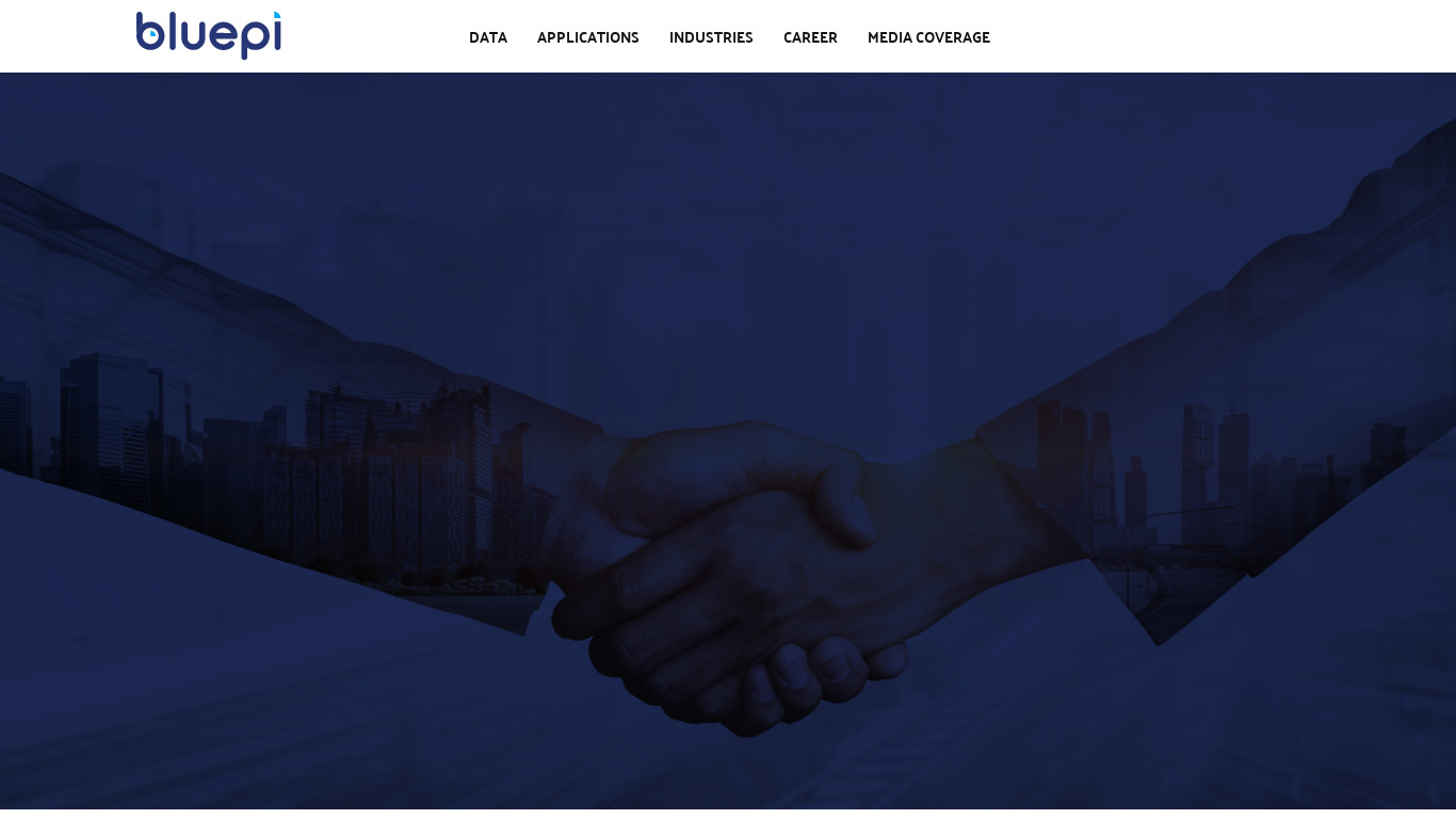 BluePi Consulting Landing page
