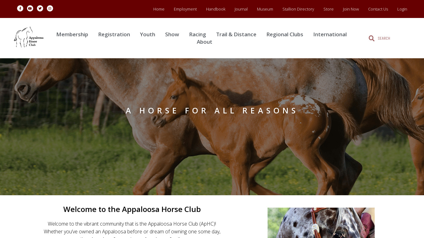 Appaloosa.io Landing page