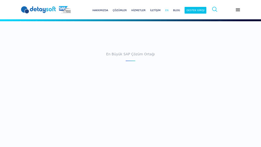 Detaysoft Landing Page