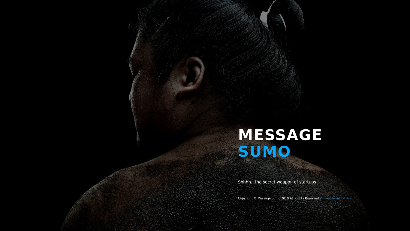 Message Sumo Landing page