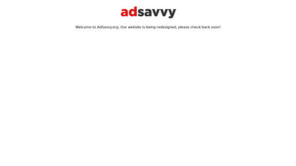 AdSavvy image