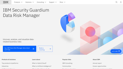 IBM Data Risk Manager image
